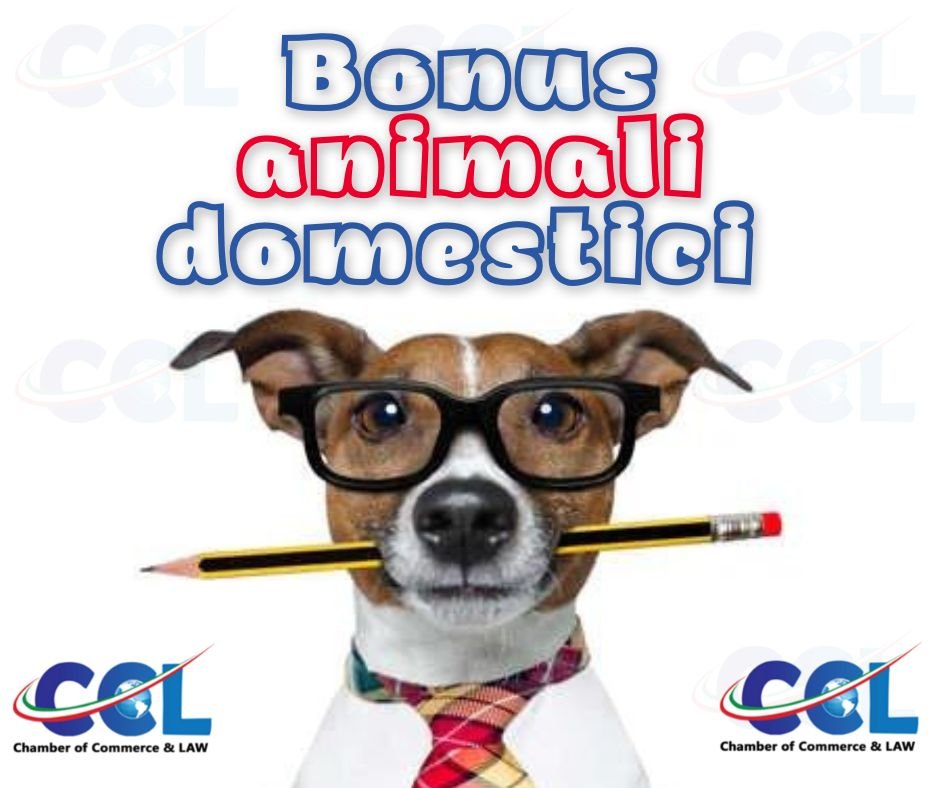 Bonus animali domestici 2022: detrazione sulle spese veterinarie